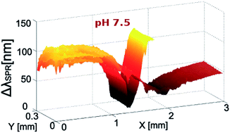 Graphical abstract: pH-control of the protein resistance of thin hydrogel gradient films