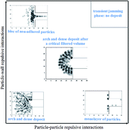 Graphical abstract: Collective dynamics of flowing colloids during pore clogging
