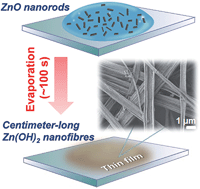 Graphical abstract: Self-assembly in an evaporating nanofluid droplet: rapid transformation of nanorods into 3D fibre network structures