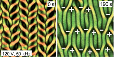 Graphical abstract: Dislocations and metastable chevrons in the electroconvective inplane normal roll state of a bent core nematic liquid crystal