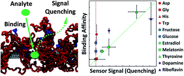Graphical abstract: Understanding selective molecular recognition in integrated carbon nanotube–polymer sensors by simulating physical analyte binding on carbon nanotube–polymer scaffolds