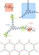 Graphical abstract: Two glass transitions of polyurea networks: effect of the segmental molecular weight