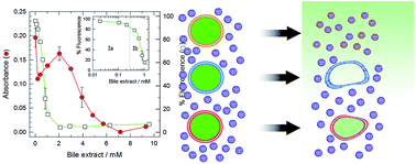 Graphical abstract: Characteristics and behaviour of liposomes when incubated with natural bile salt extract: implications for their use as oral drug delivery systems