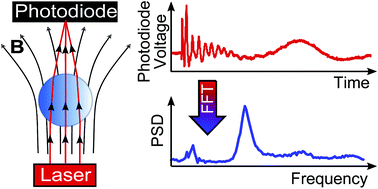 Graphical abstract: Mechanical vibrations of magnetically levitated viscoelastic droplets