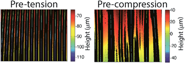 Graphical abstract: The role of substrate pre-stretch in post-wrinkling bifurcations