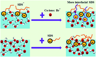 Graphical abstract: In situ investigation of halide co-ion effects on SDS adsorption at air–water interfaces