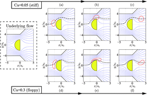 Graphical abstract: A microfluidic device to sort capsules by deformability: a numerical study