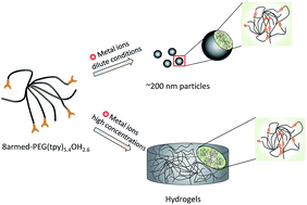 Graphical abstract: Hydrogels by supramolecular crosslinking of terpyridine end group functionalized 8-arm poly(ethylene glycol)