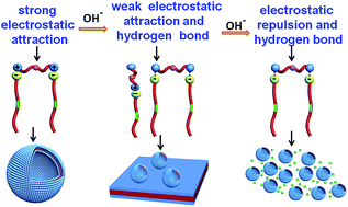 Graphical abstract: The evolution of self-assemblies in the mixed system of oleic acid–diethylenetriamine based on the transformation of electrostatic interactions and hydrogen bonds