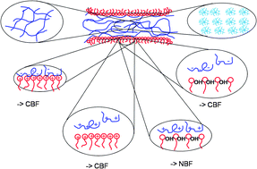 Graphical abstract: Effect of polyelectrolytes on (de)stability of liquid foam films