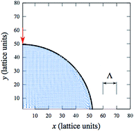 Graphical abstract: Lattice-Boltzmann simulations of droplet evaporation
