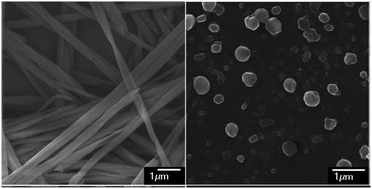 Graphical abstract: Ultrasound-induced controllable morphology and growth dimension in a dihydrazide-based self-assembly system