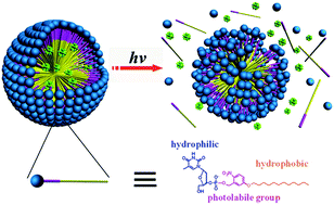 Graphical abstract: Surface properties of nucleolipids and photo-controlled release of hydrophobic guest molecules from their micellar aggregates