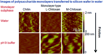 Graphical abstract: Polysaccharide films at an air/liquid and a liquid/silicon interface: effect of the polysaccharide and liquid type on their physical properties