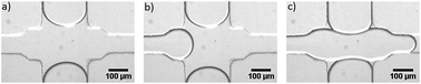 Graphical abstract: Fast membrane hemifusion via dewetting between lipid bilayers