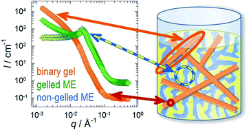 Graphical abstract: Studying orthogonal self-assembled systems: microstructure of gelled bicontinuous microemulsions