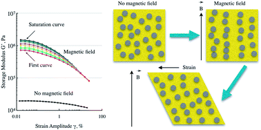 Graphical abstract: Experimental study of the magnetic field enhanced Payne effect in magnetorheological elastomers