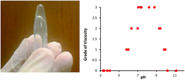 Graphical abstract: A peptide from human semenogelin I self-assembles into a pH-responsive hydrogel