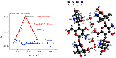 Graphical abstract: Novel gigahertz frequency dielectric relaxations in chitosan films