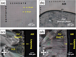 Graphical abstract: Probing the dynamics of geometrically confined ferroelectric mesogens at the air interface