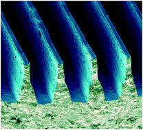 Graphical abstract: Biomimetic wall-shaped hierarchical microstructure for gecko-like attachment