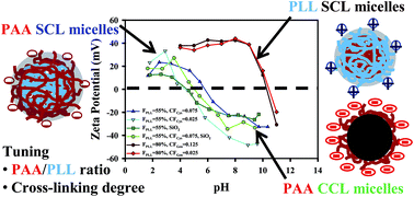 Graphical abstract: Shell and core cross-linked poly(l-lysine)/poly(acrylic acid) complex micelles