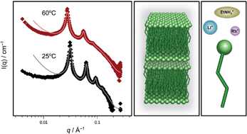 Graphical abstract: Controlling the characteristics of lamellar liquid crystals using counterion choice, fluorination and temperature