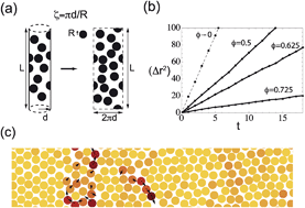 Graphical abstract: Confinement without boundaries: anisotropic diffusion on the surface of a cylinder