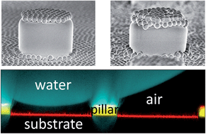 Graphical abstract: Functional superhydrophobic surfaces made of Janus micropillars