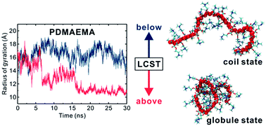 Graphical abstract: Atomistic simulation for coil-to-globule transition of poly(2-dimethylaminoethyl methacrylate)