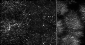 Graphical abstract: The effect of solvent choice on the gelation and final hydrogel properties of Fmoc–diphenylalanine