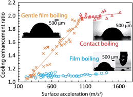 Graphical abstract: Suppression of the Leidenfrost effect via low frequency vibrations