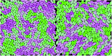 Graphical abstract: Relaxation dynamics in a binary hard-ellipse liquid