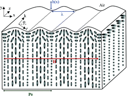 Graphical abstract: Nano-scale surface wrinkling in chiral liquid crystals and plant-based plywoods