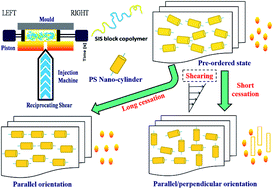 Graphical abstract: Evolution of unique nano-cylindrical structure in poly(styrene-b-isoprene-b-styrene) prepared under “dynamic packing injection moulding”
