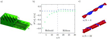 Graphical abstract: Anisotropic swelling of thin gel sheets