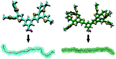 Graphical abstract: Internal organization of macromonomers and dendronized polymers based on thiophene dendrons