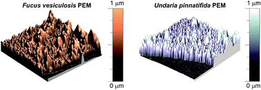 Graphical abstract: Tuning polyelectrolyte multilayer structure by exploiting natural variation in fucoidan chemistry