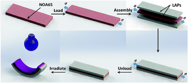 Graphical abstract: Photo-induced bending in a light-activated polymer laminated composite