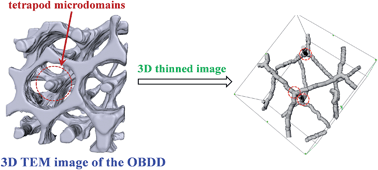 Graphical abstract: Real-space evidence of the equilibrium ordered bicontinuous double diamond structure of a diblock copolymer