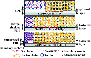 Graphical abstract: Low-velocity super-lubrication of sodium-alginate/polyacrylamide ionic–covalent hybrid double-network hydrogels