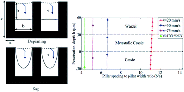 Graphical abstract: Design of a robust superhydrophobic surface: thermodynamic and kinetic analysis