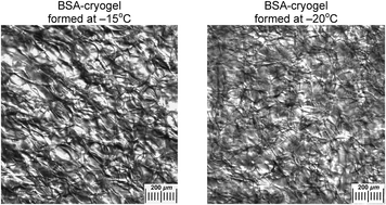 Graphical abstract: Cryostructuring of polymer systems. Proteinaceous wide-pore cryogels generated by the action of denaturant/reductant mixtures on bovine serum albumin in moderately frozen aqueous media