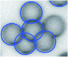 Graphical abstract: Suspension flow: do particles act as mixers?