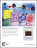 Graphical abstract: Back cover