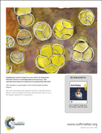 Graphical abstract: Back cover