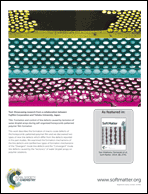 Graphical abstract: Back cover