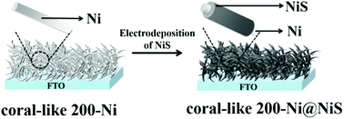 Graphical abstract: A coral-like film of Ni@NiS with core–shell particles for the counter electrode of an efficient dye-sensitized solar cell