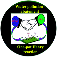 Graphical abstract: A multi-functionalized montmorillonite for co-operative catalysis in one-pot Henry reaction and water pollution remediation