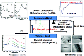 Graphical abstract: Induced chirality in single walled carbon nanotube based self-assembly